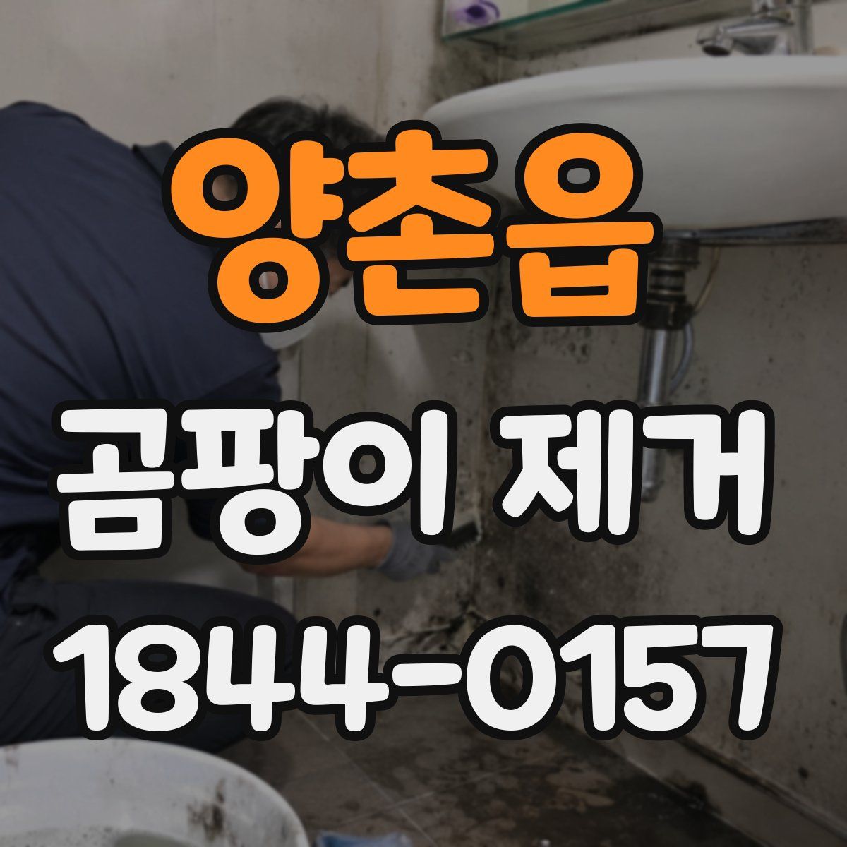 양촌읍 곰팡이 제거