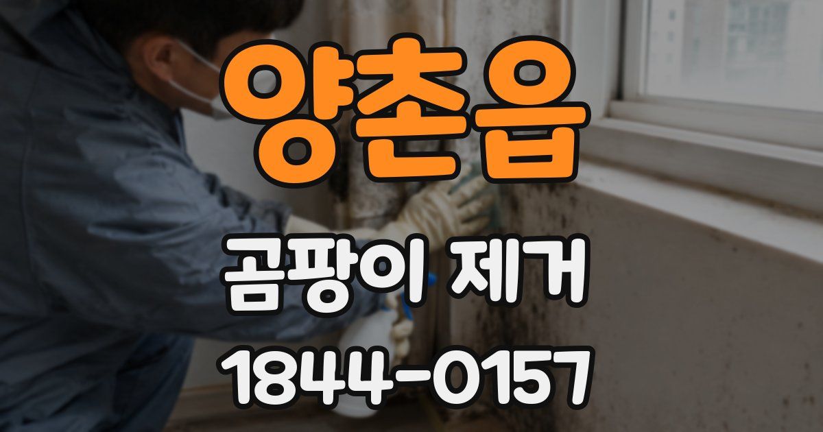 양촌읍 곰팡이 제거