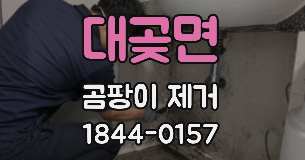 대곶면 곰팡이 제거