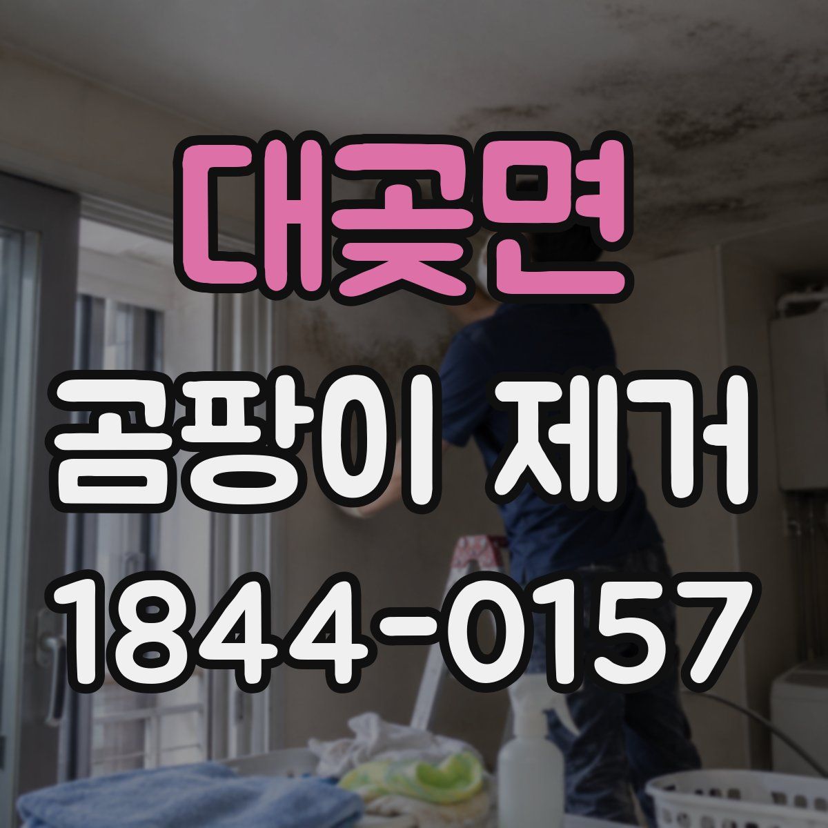 대곶면 곰팡이 제거