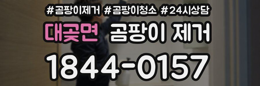 대곶면 곰팡이 제거
