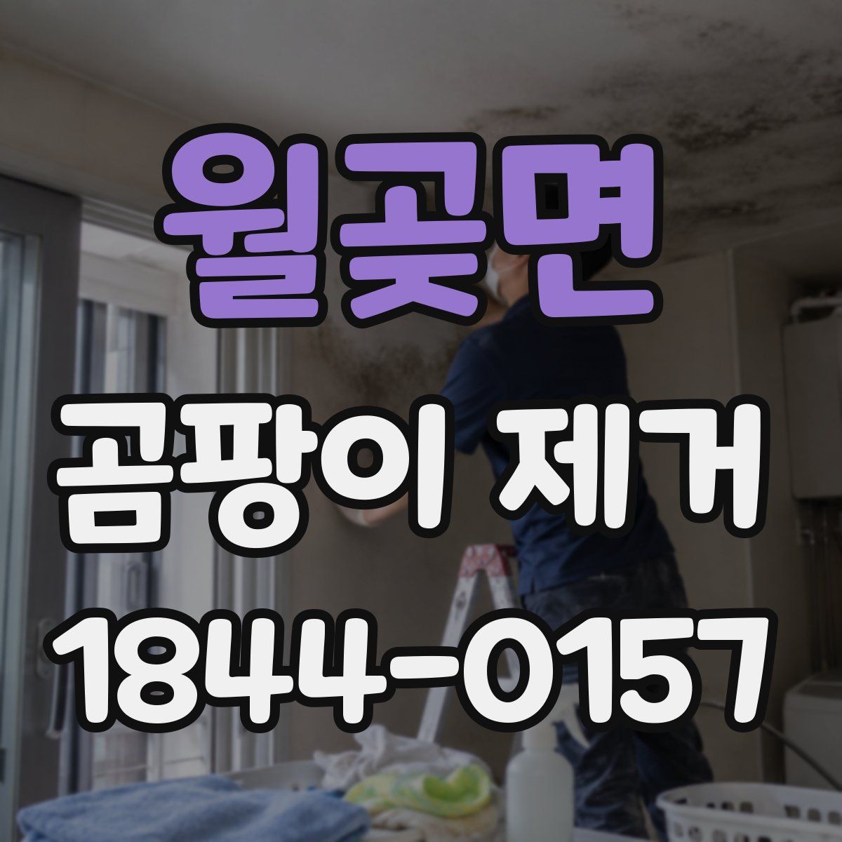 월곶면 곰팡이 제거