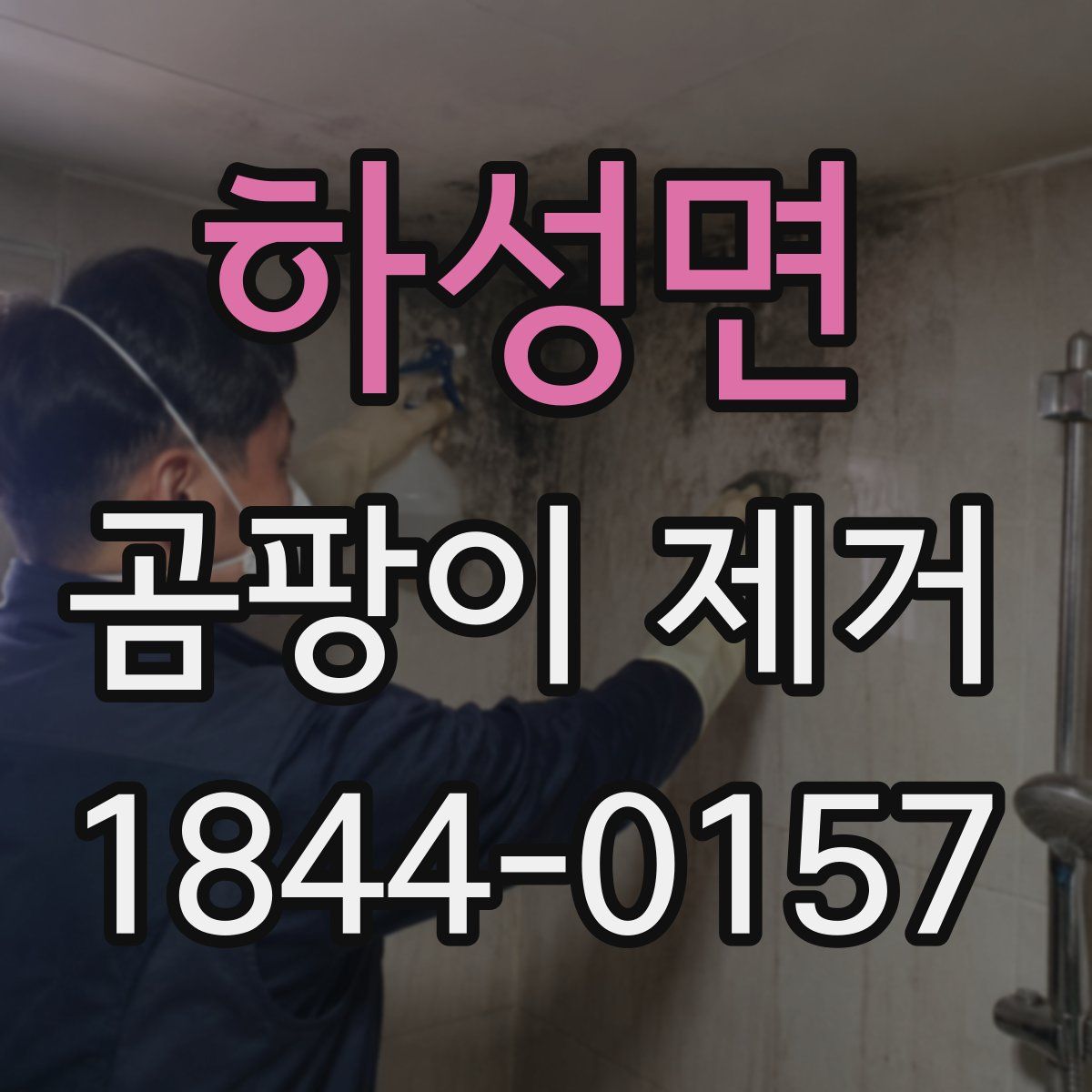 하성면 곰팡이 제거