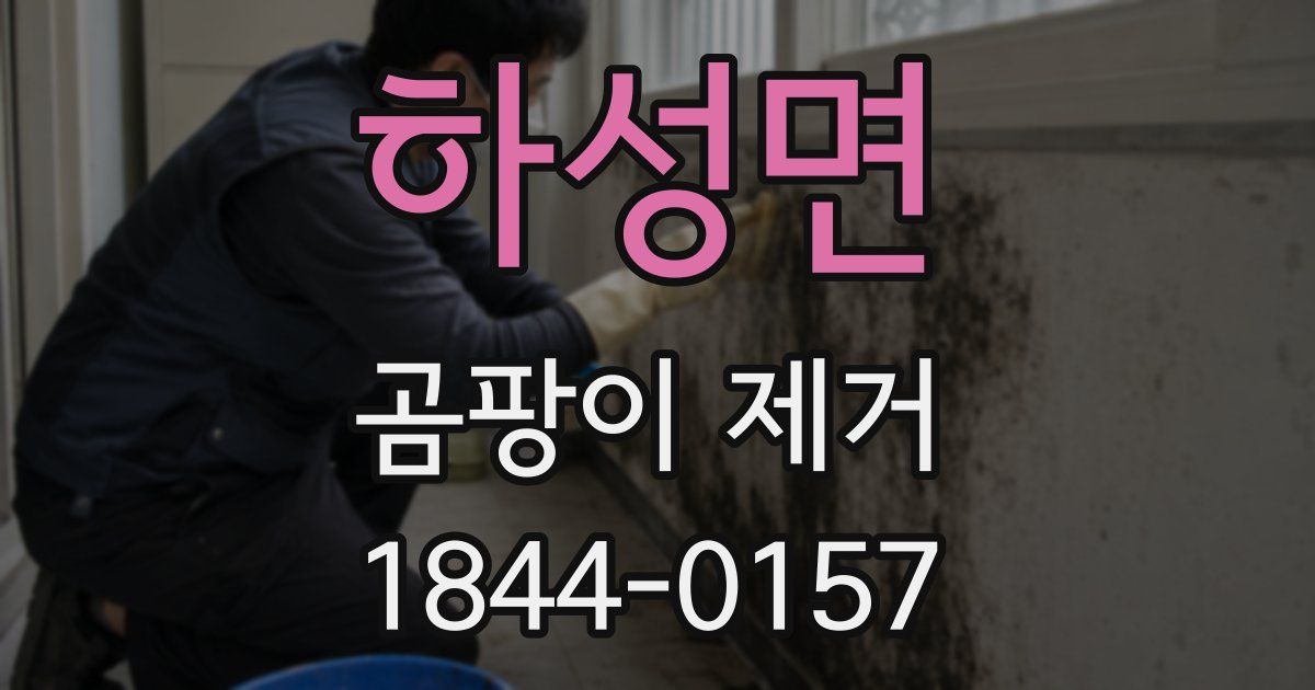 하성면 곰팡이 제거