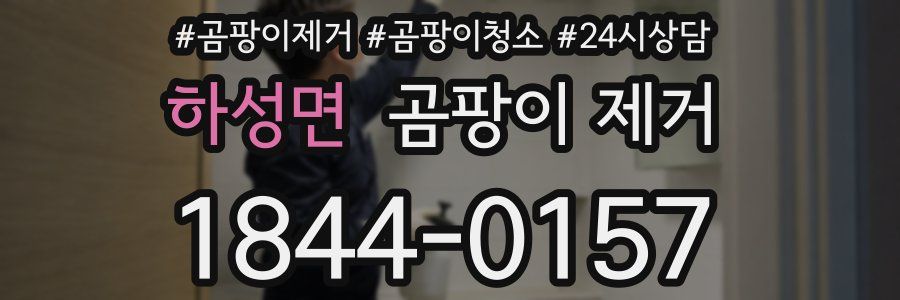 하성면 곰팡이 제거