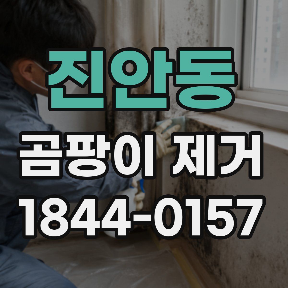진안동 곰팡이 제거