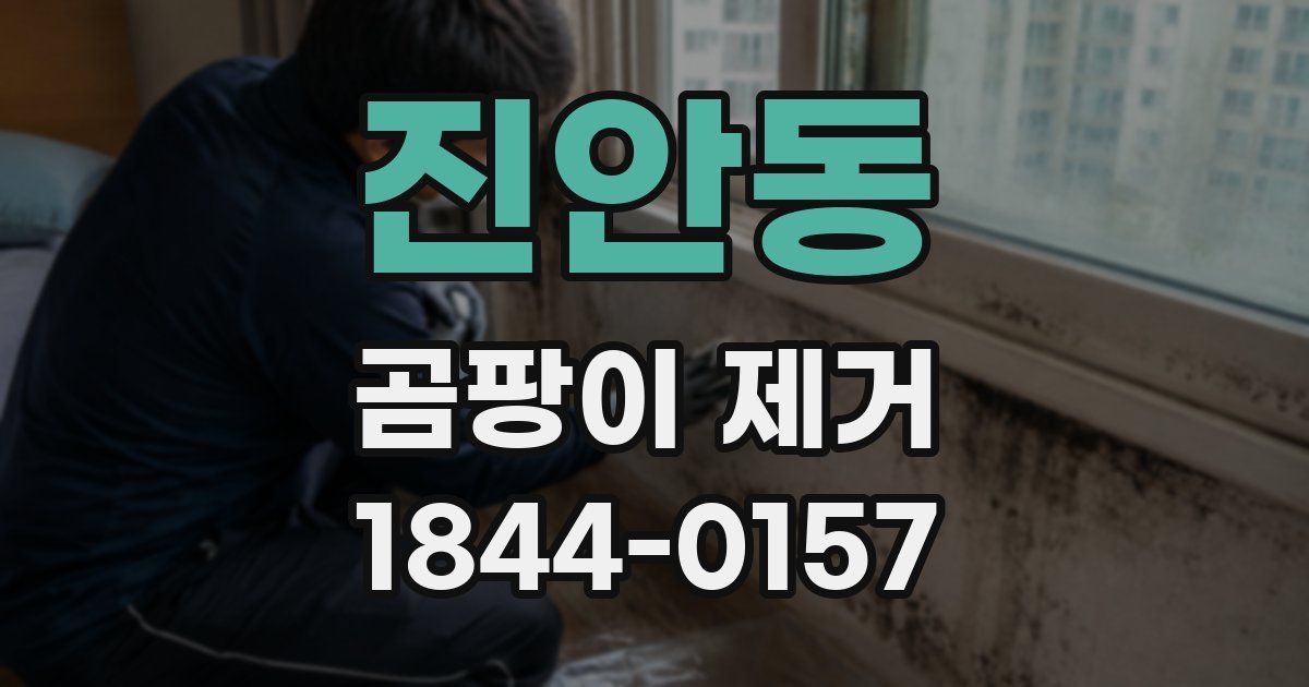 진안동 곰팡이 제거