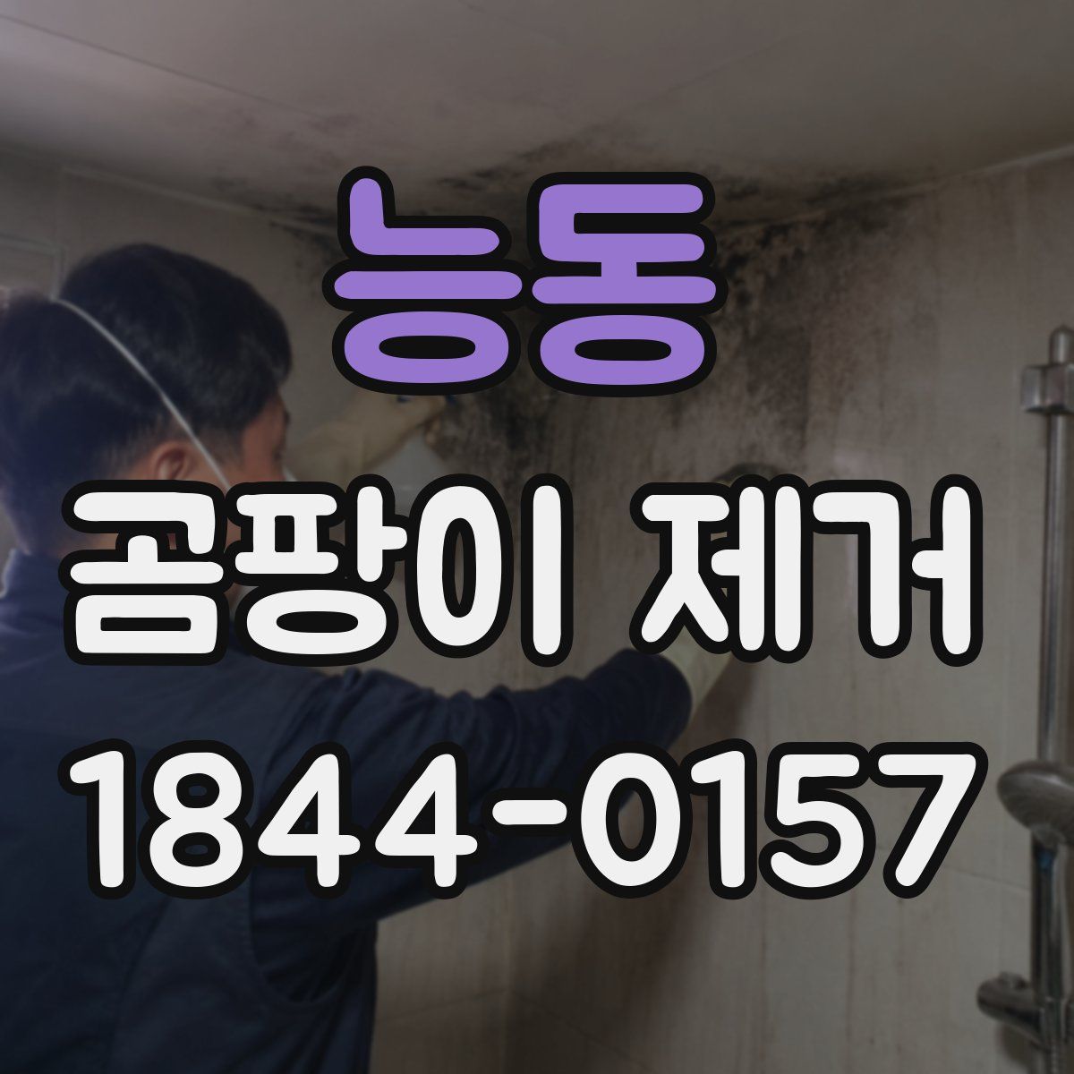 능동 곰팡이 제거