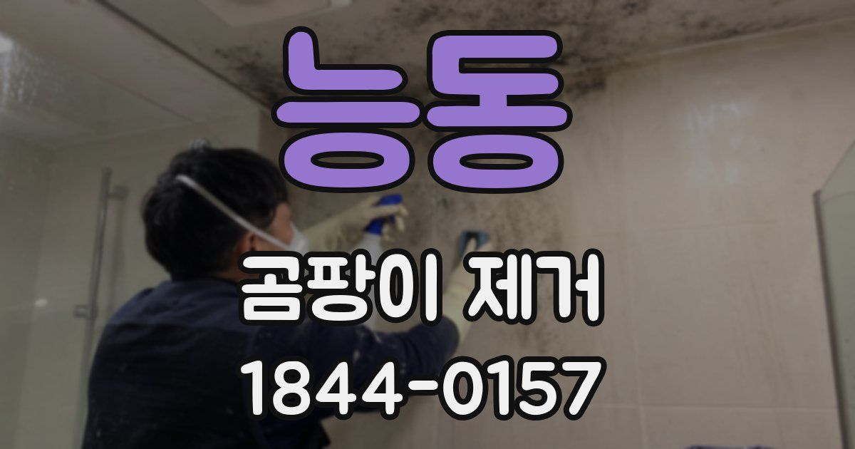 능동 곰팡이 제거