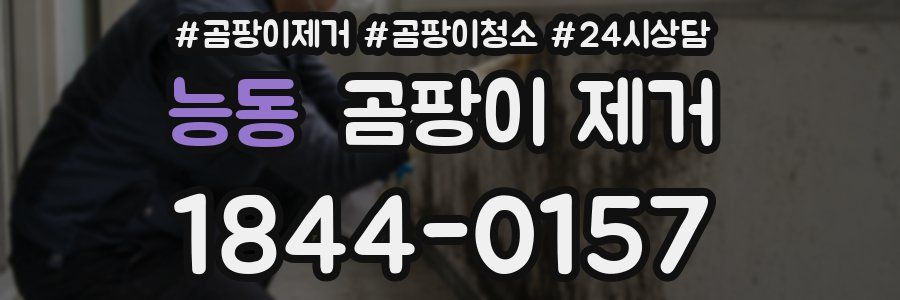능동 곰팡이 제거