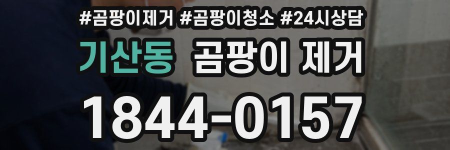 기산동 곰팡이 제거