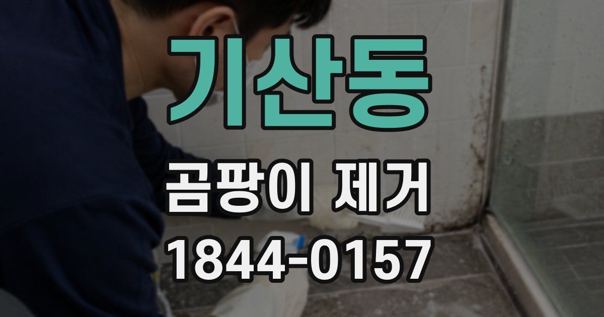 기산동 곰팡이 제거