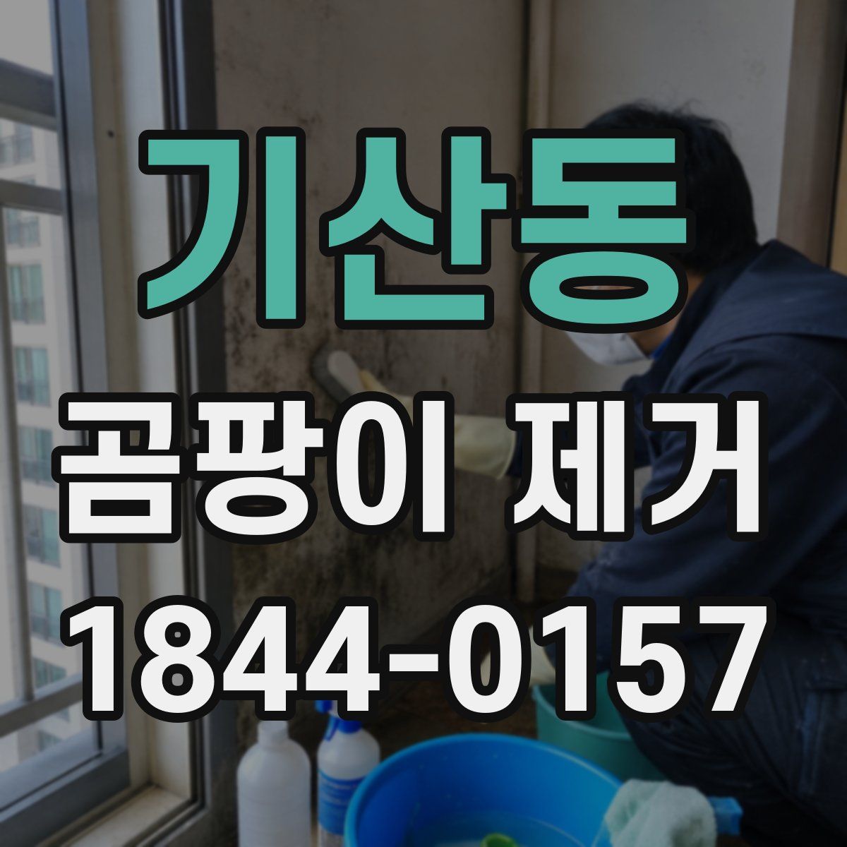 기산동 곰팡이 제거