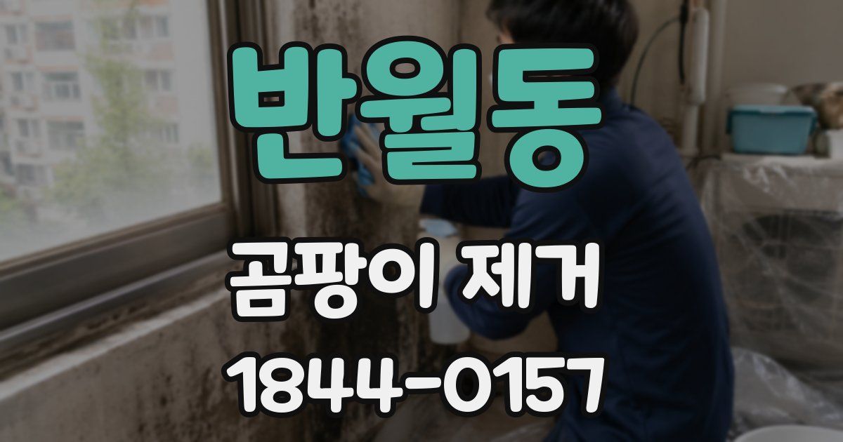 반월동 곰팡이 제거