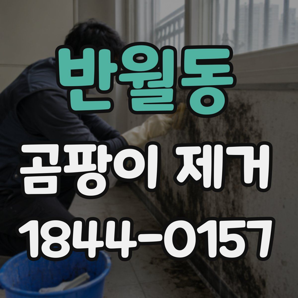 반월동 곰팡이 제거