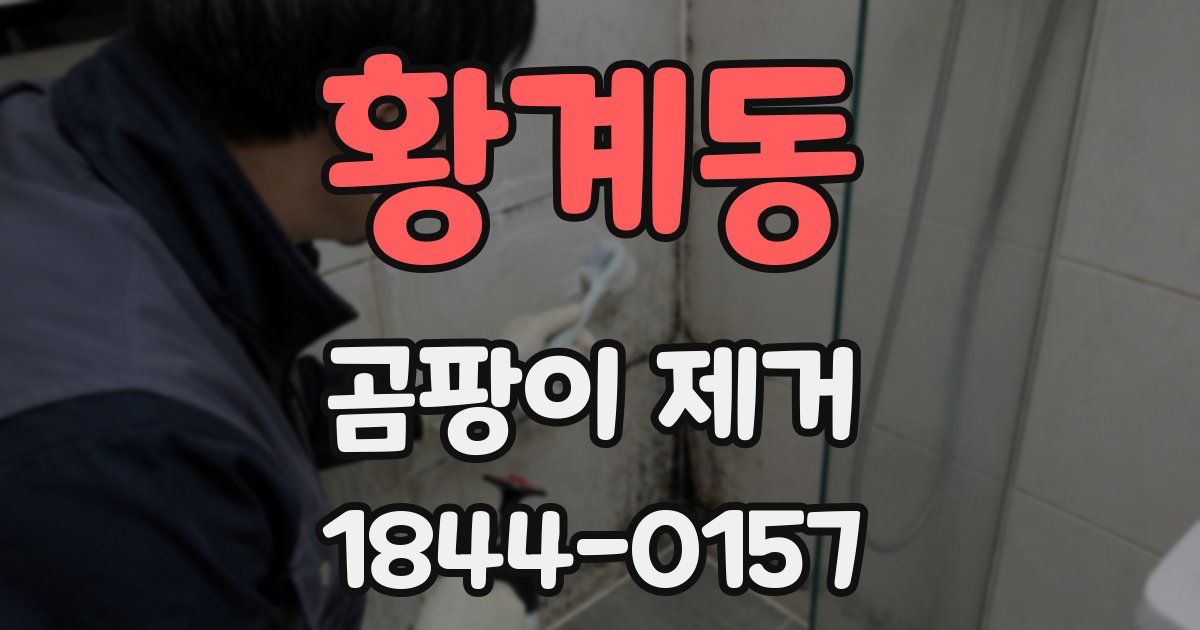 황계동 곰팡이 제거