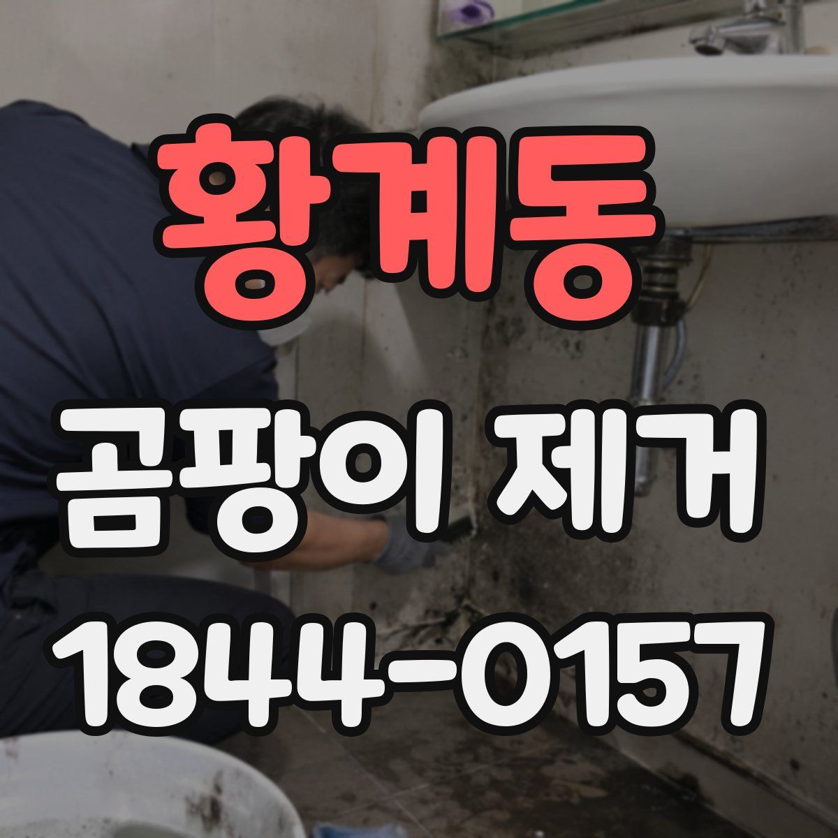 황계동 곰팡이 제거