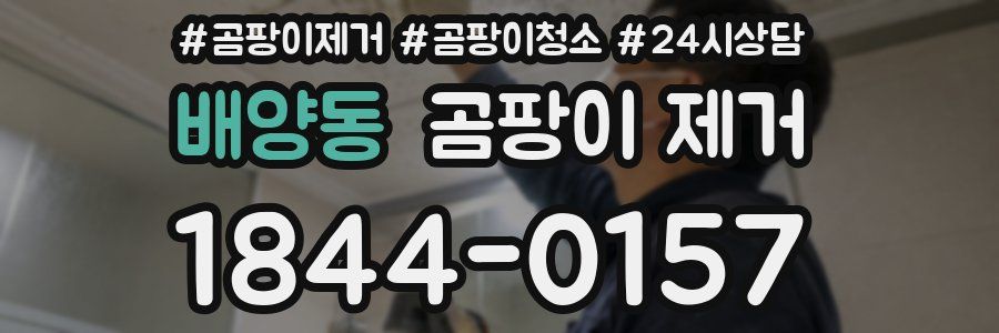 배양동 곰팡이 제거