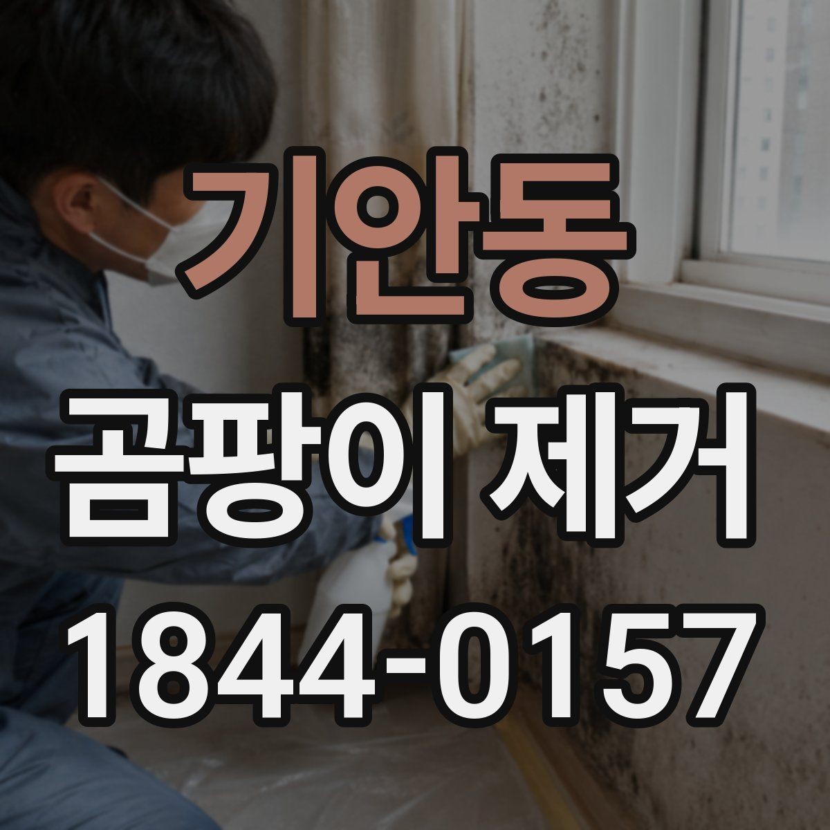 기안동 곰팡이 제거 도배 전 벽면 상태를 살피는 법