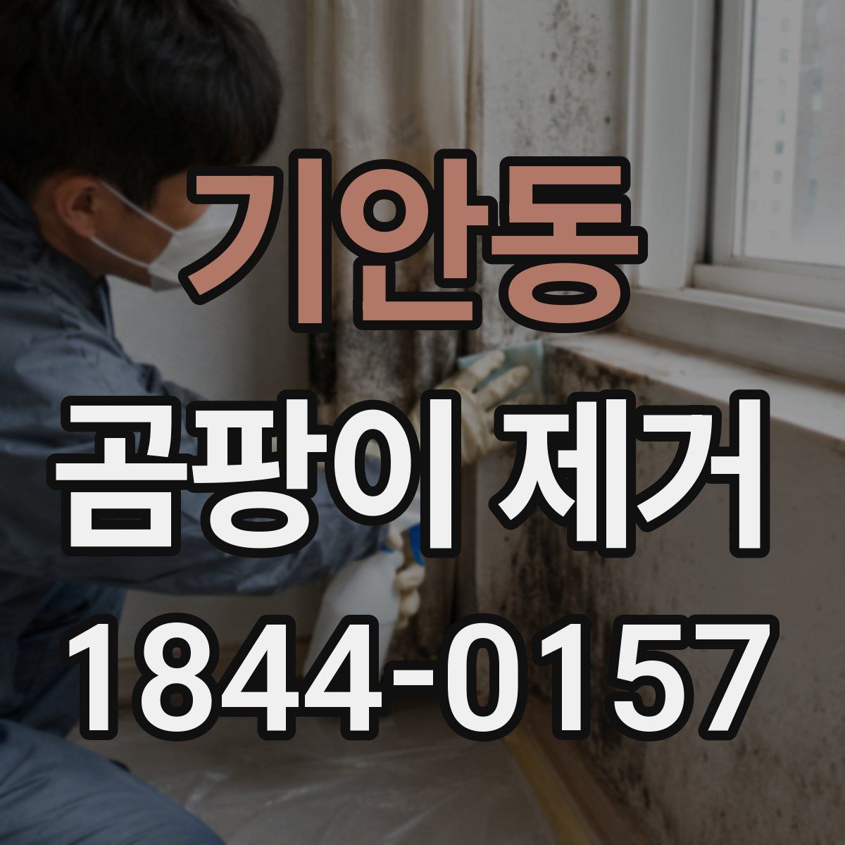 기안동 곰팡이 제거
