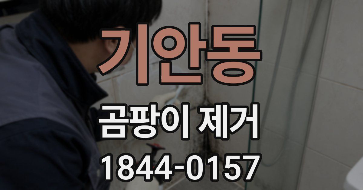 기안동 곰팡이 제거