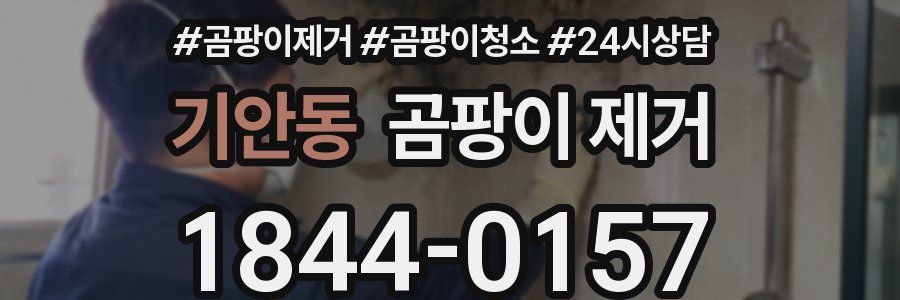 기안동 곰팡이 제거