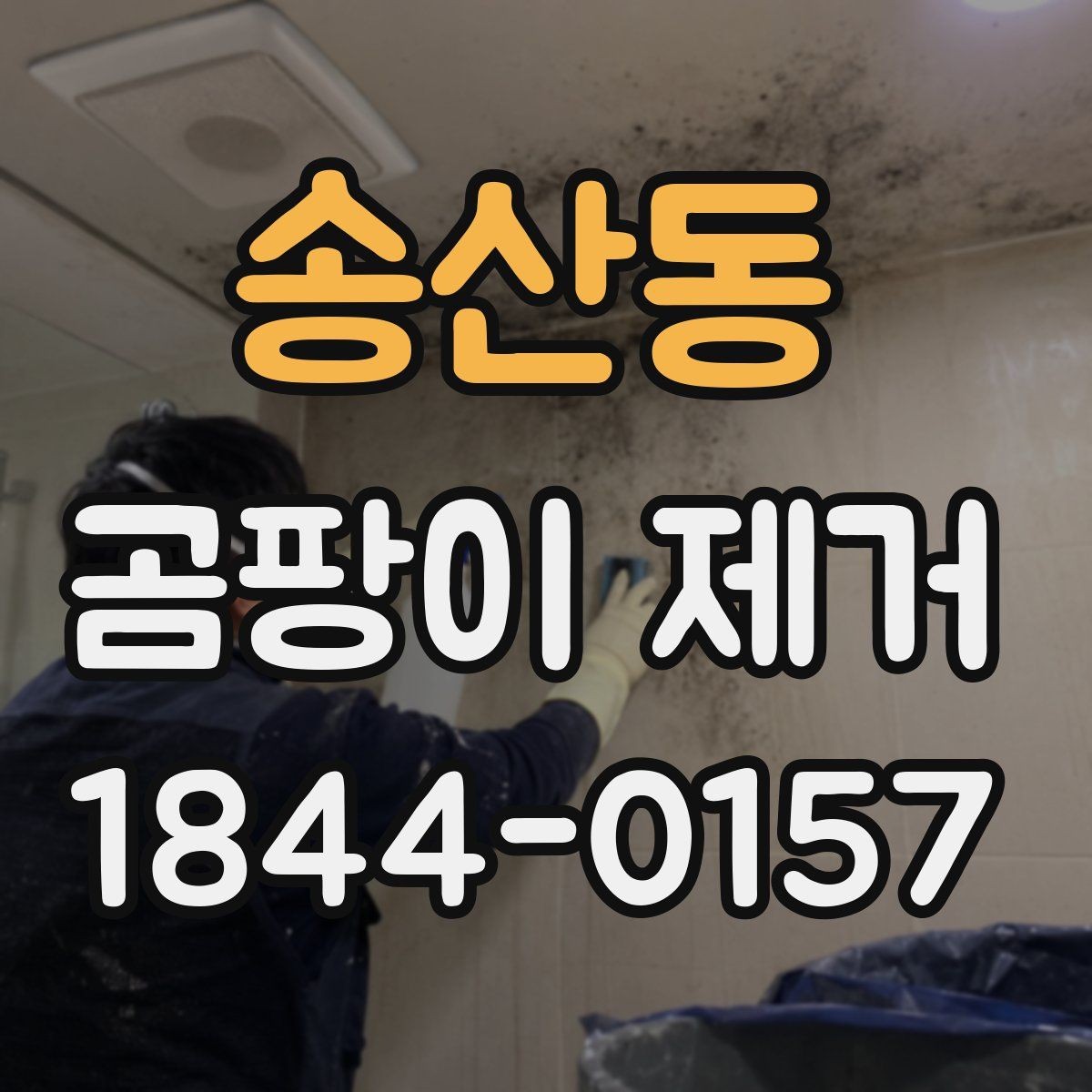 송산동 곰팡이 제거 천장과 벽면을 함께 관리해야 하는 이유