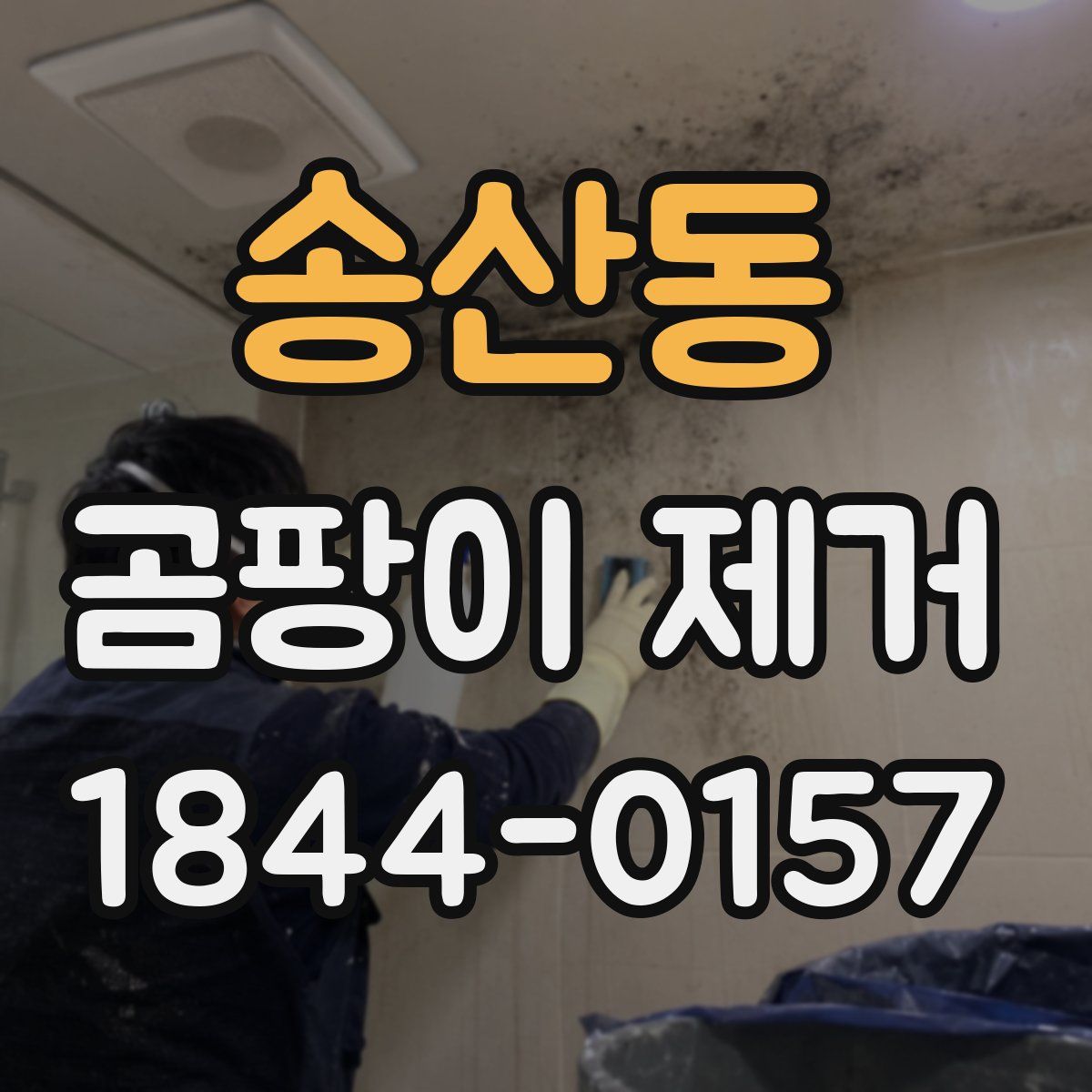 송산동 곰팡이 제거