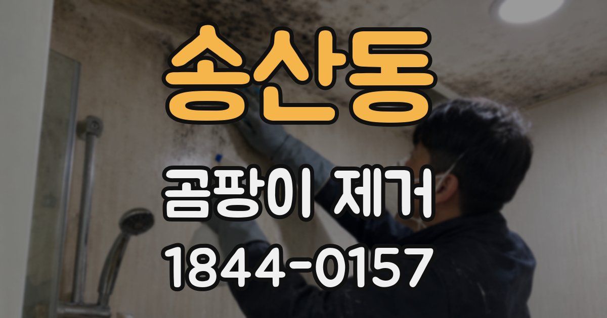 송산동 곰팡이 제거