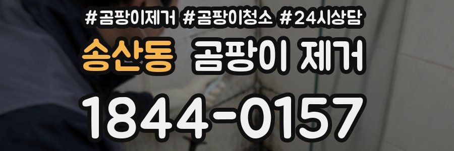 송산동 곰팡이 제거