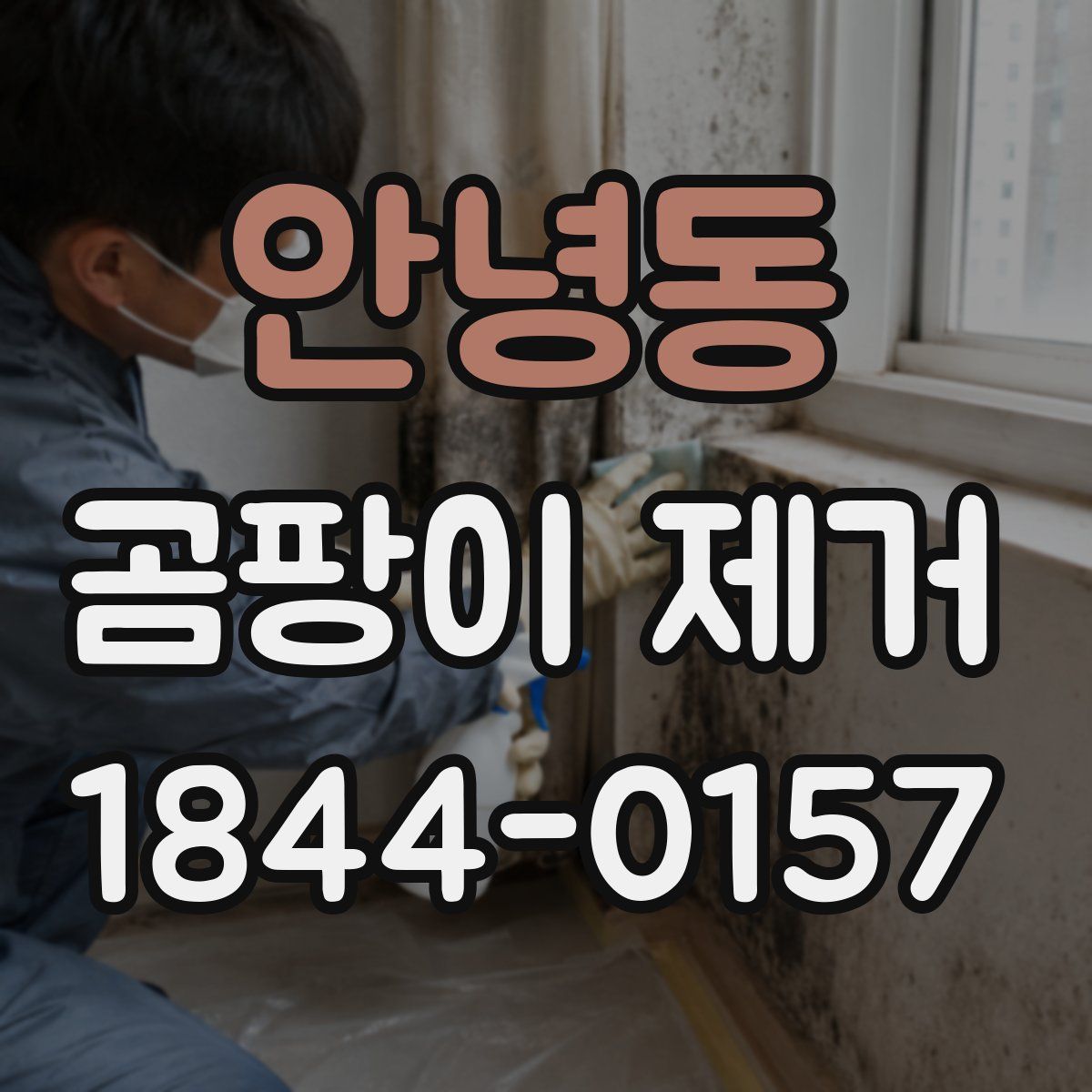 안녕동 곰팡이 제거