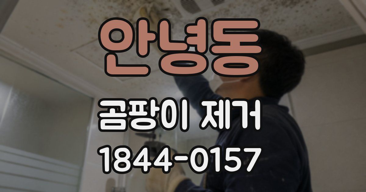 안녕동 곰팡이 제거