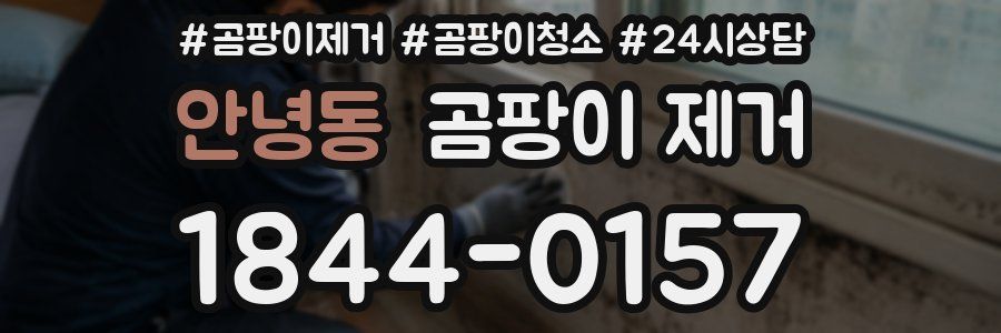 안녕동 곰팡이 제거
