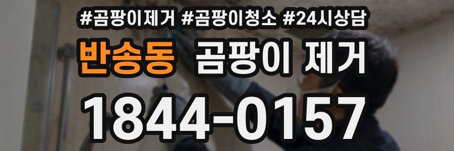 반송동 곰팡이 제거