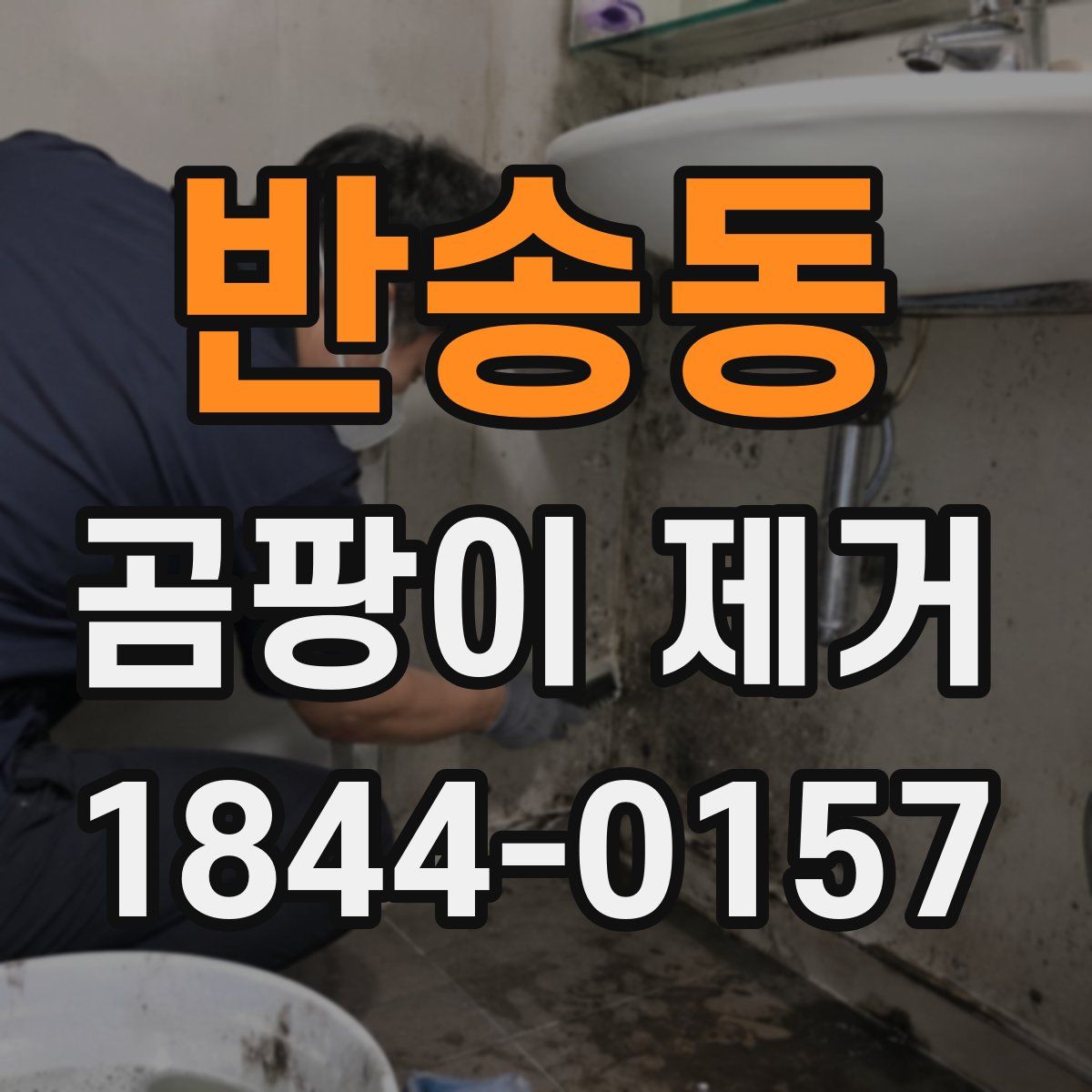반송동 곰팡이 제거