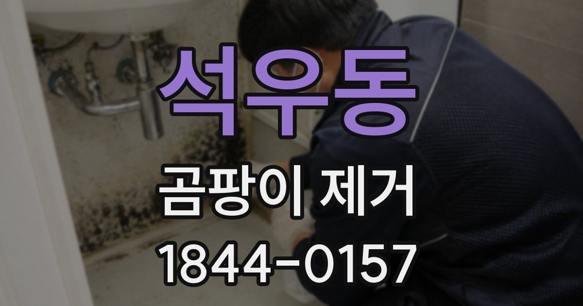 석우동 곰팡이 제거