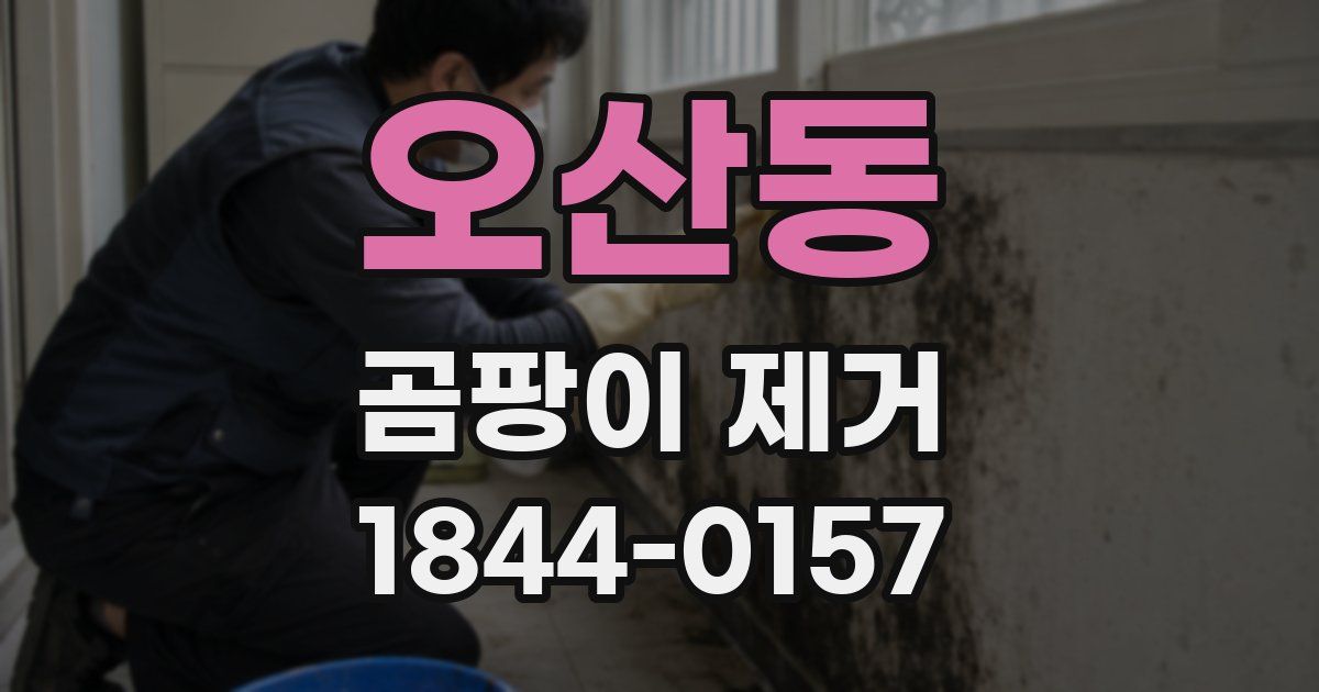 오산동 곰팡이 제거