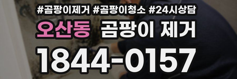 오산동 곰팡이 제거