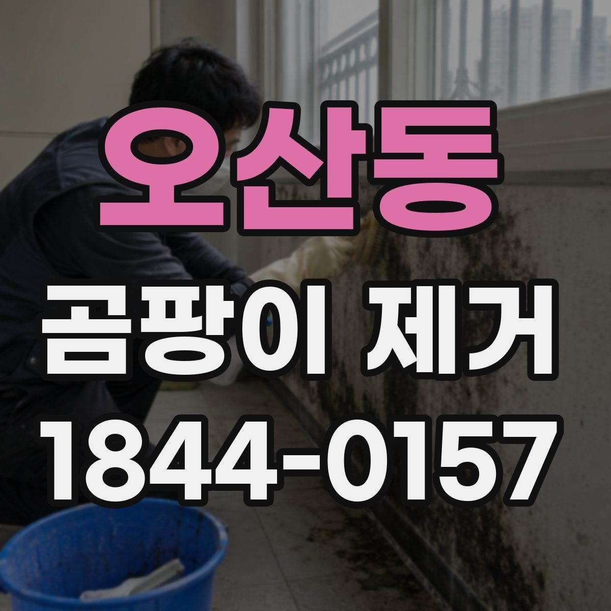오산동 곰팡이 제거