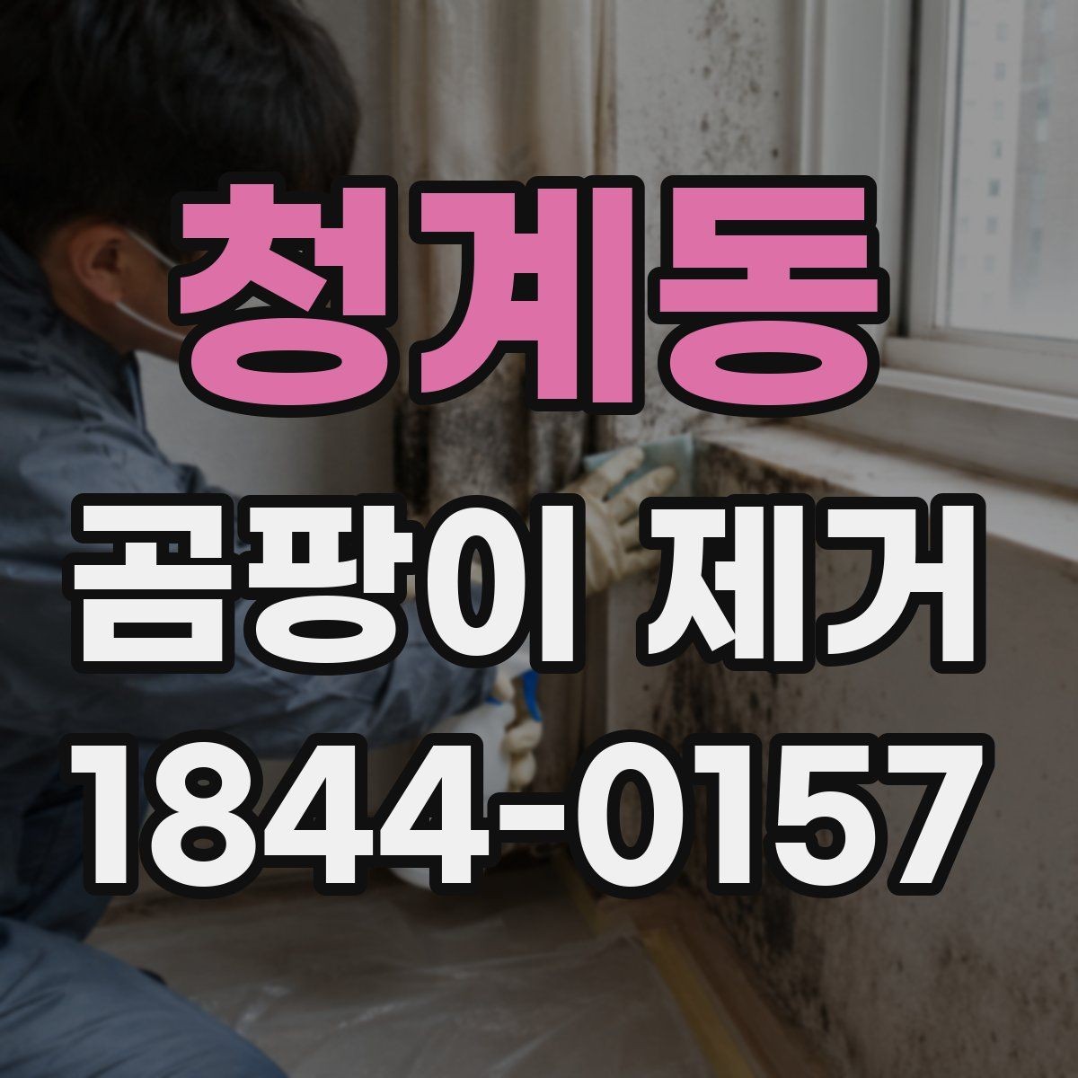 청계동 곰팡이 제거 욕실 환기 뒤 세척까지 이어지는 흐름