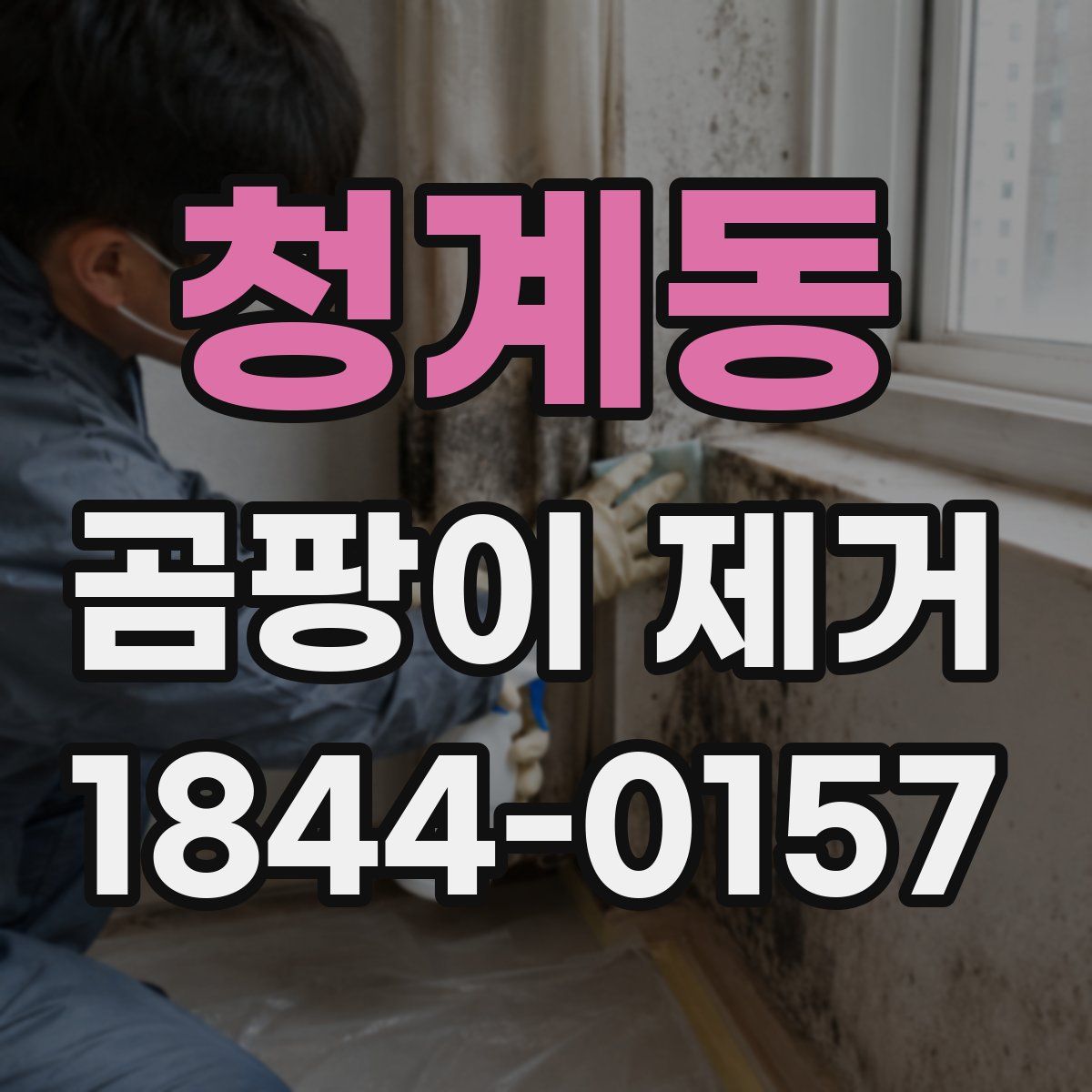 청계동 곰팡이 제거