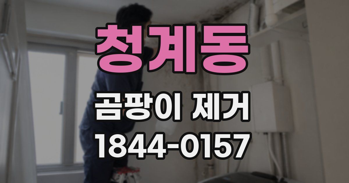 청계동 곰팡이 제거