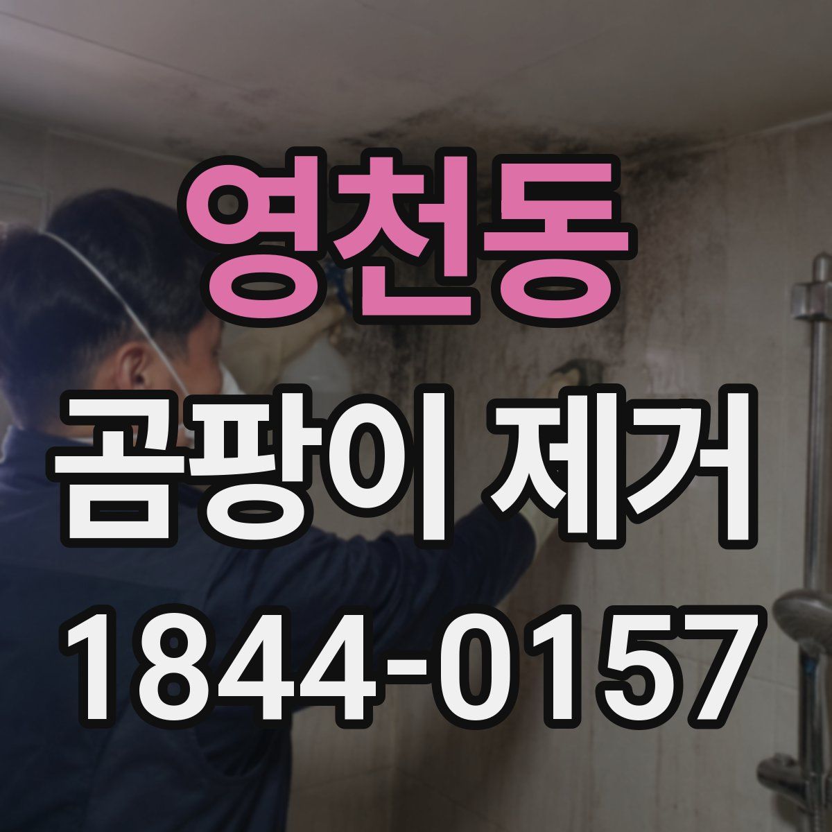 영천동 곰팡이 제거