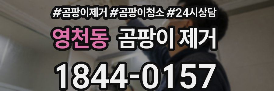 영천동 곰팡이 제거