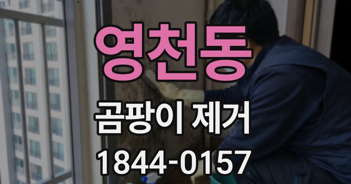 영천동 곰팡이 제거