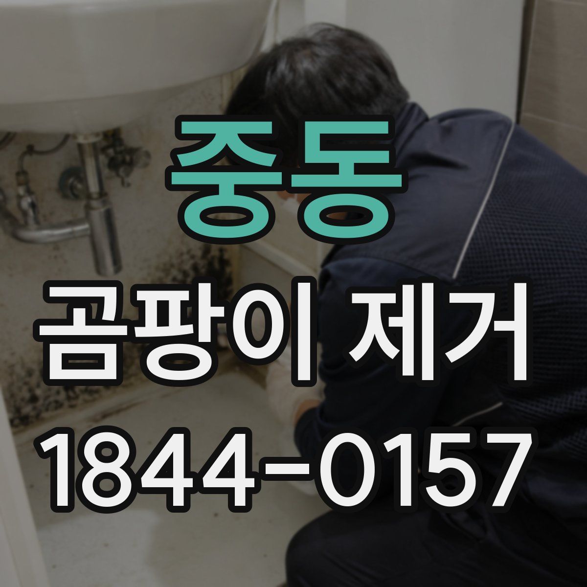 중동 곰팡이 제거