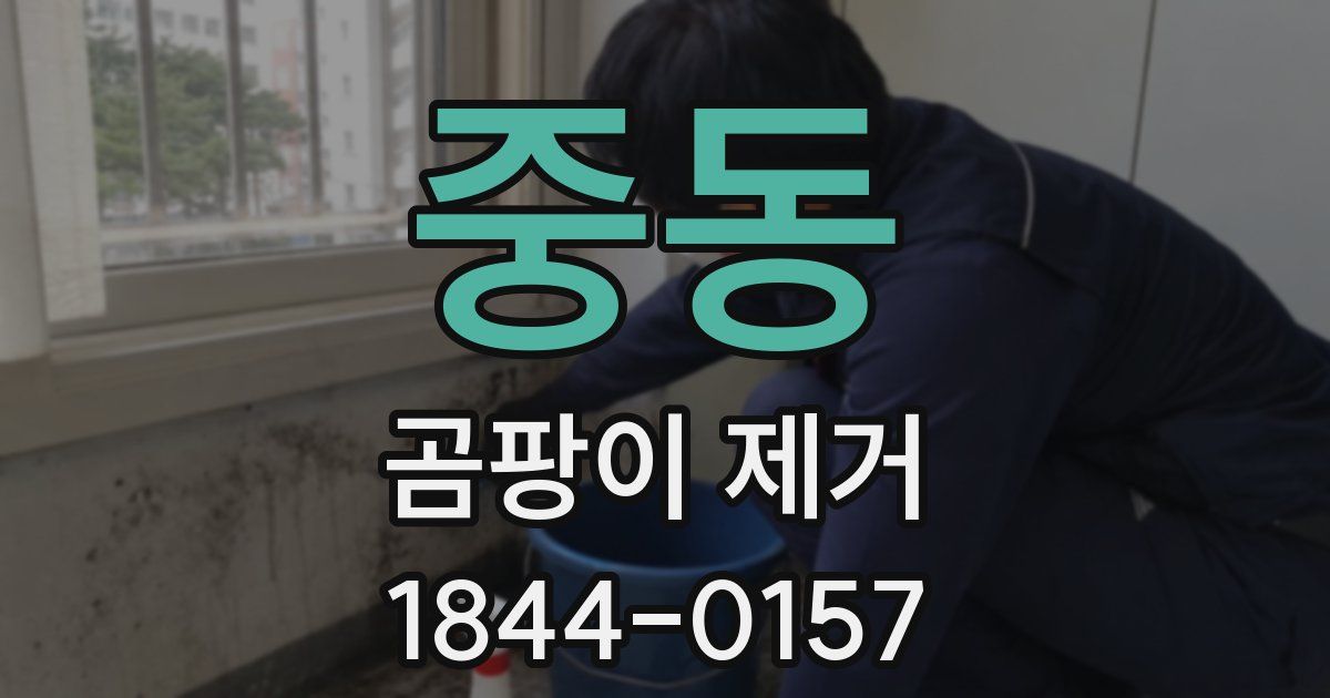 중동 곰팡이 제거