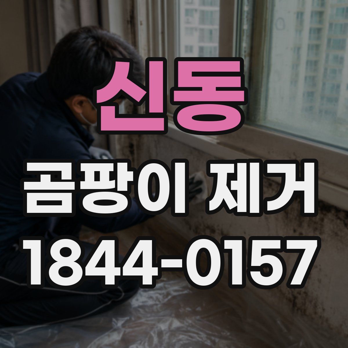 신동 곰팡이 제거