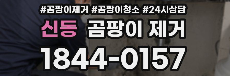 신동 곰팡이 제거