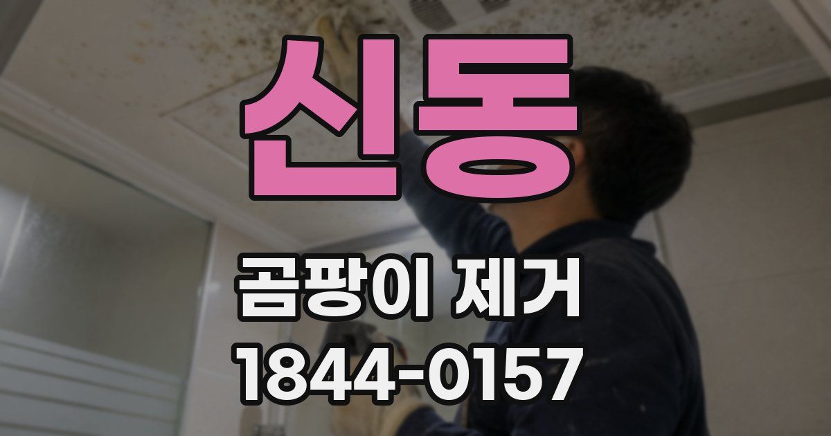 신동 곰팡이 제거